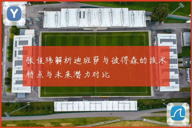 张佳玮解析迪班萨与彼得森的技术特点与未来潜力对比