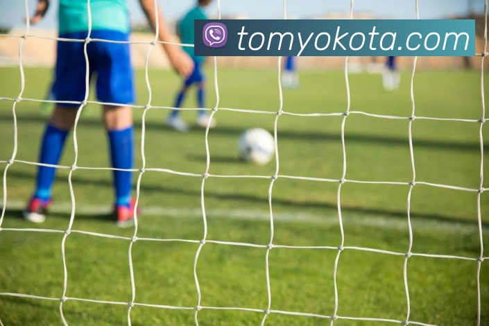 登录器